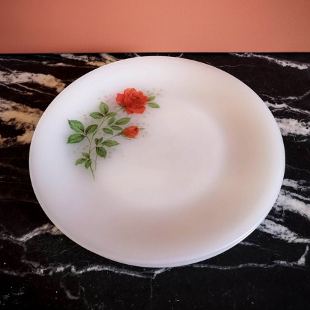 Assiettes plates, roses rouges, Arcopal