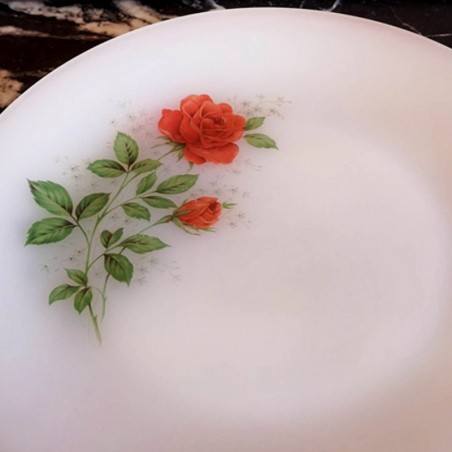 Assiettes plates, roses rouges, Arcopal